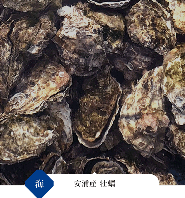 安浦産　牡蠣