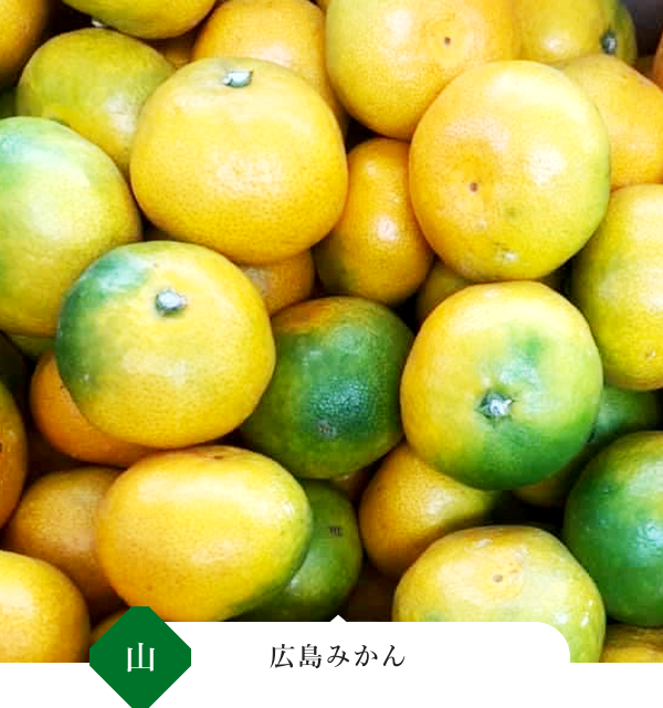 広島みかん